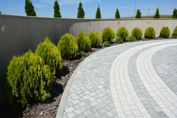 Best Affordable Driveway Paving  in Rossvle, IL